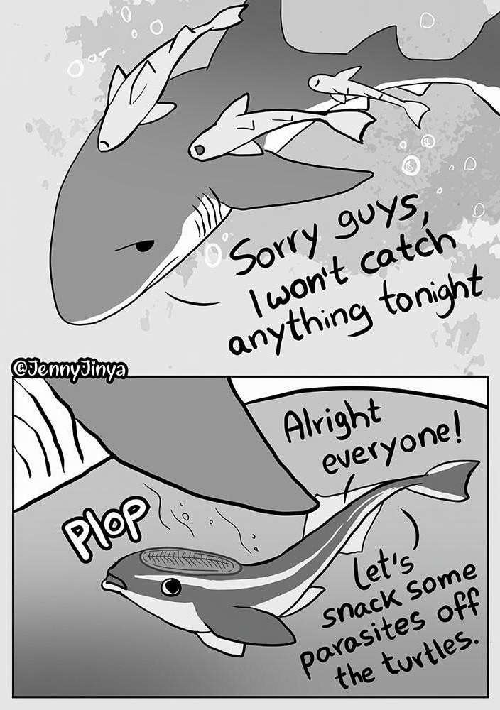 Loving Reaper page 2