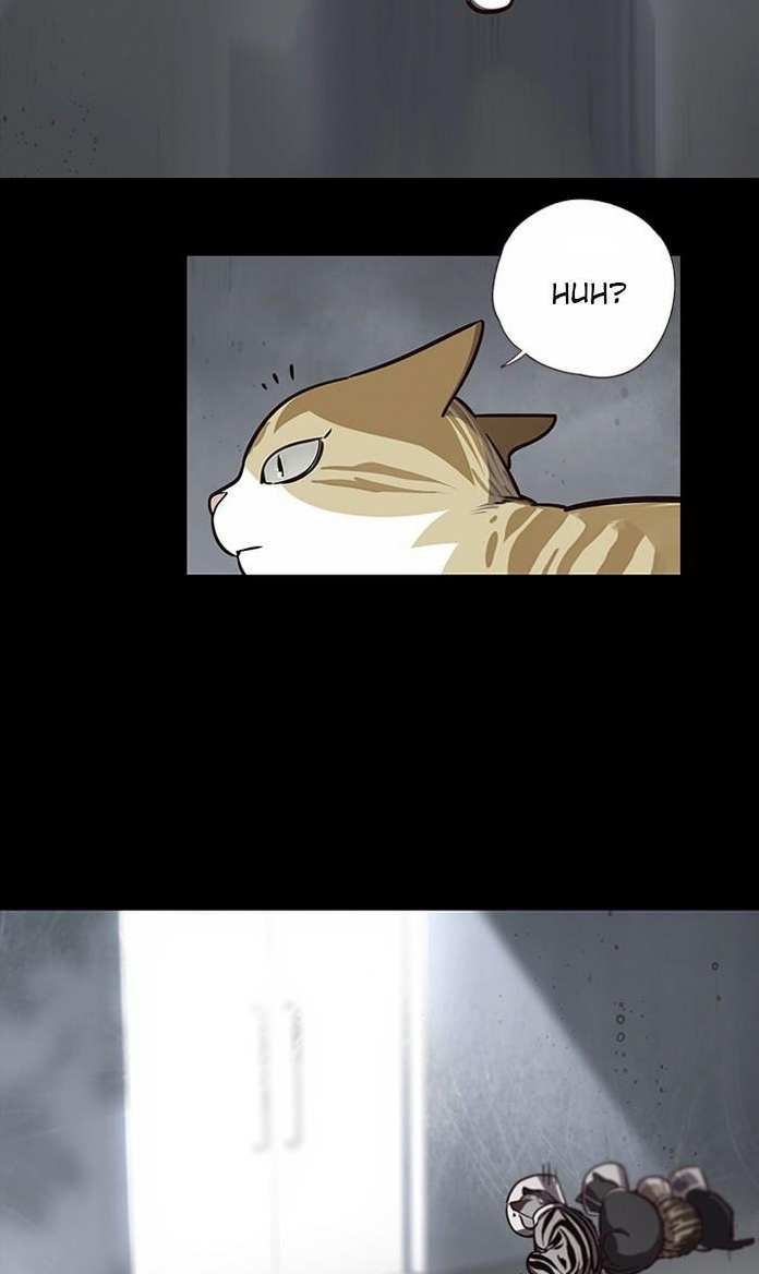 Eleceed page 3