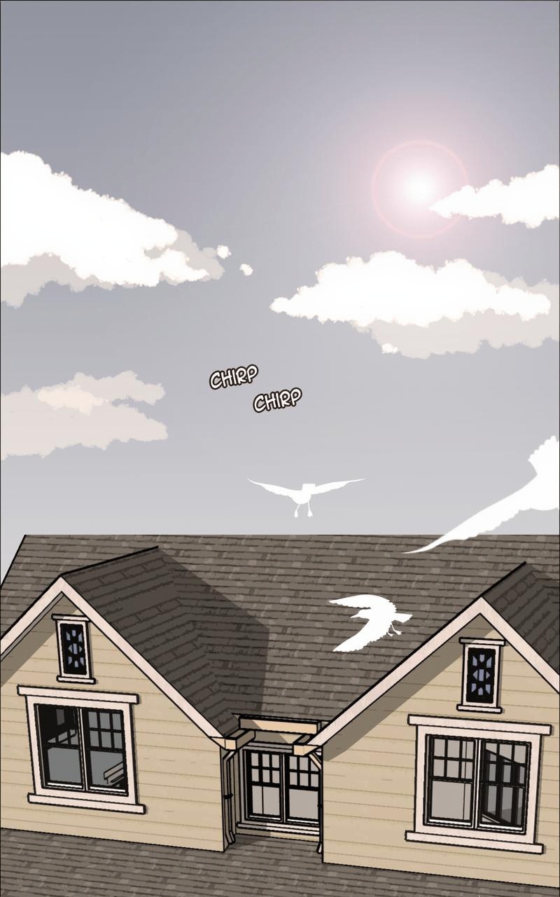 SHELTER page 1