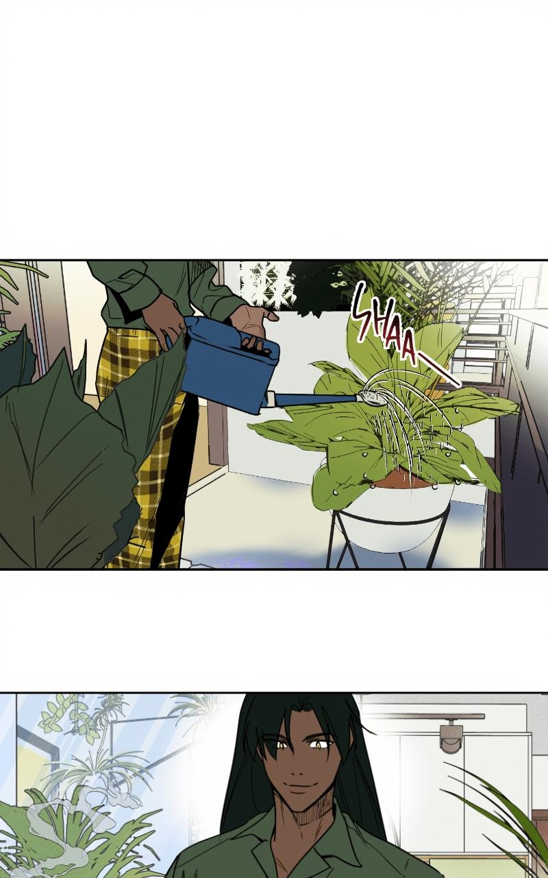 Bloom and Zoom page 1