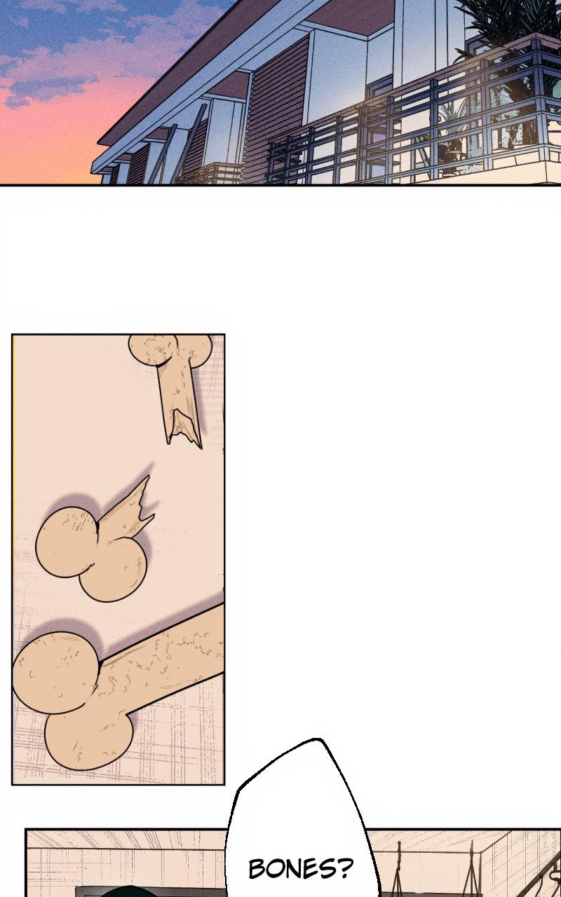 Bloom and Zoom page 2
