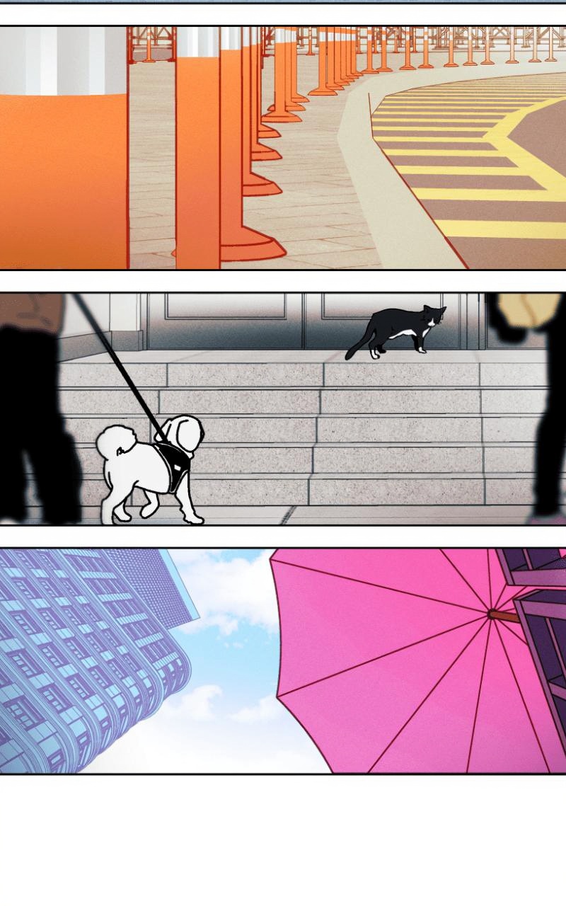 Bloom and Zoom page 3