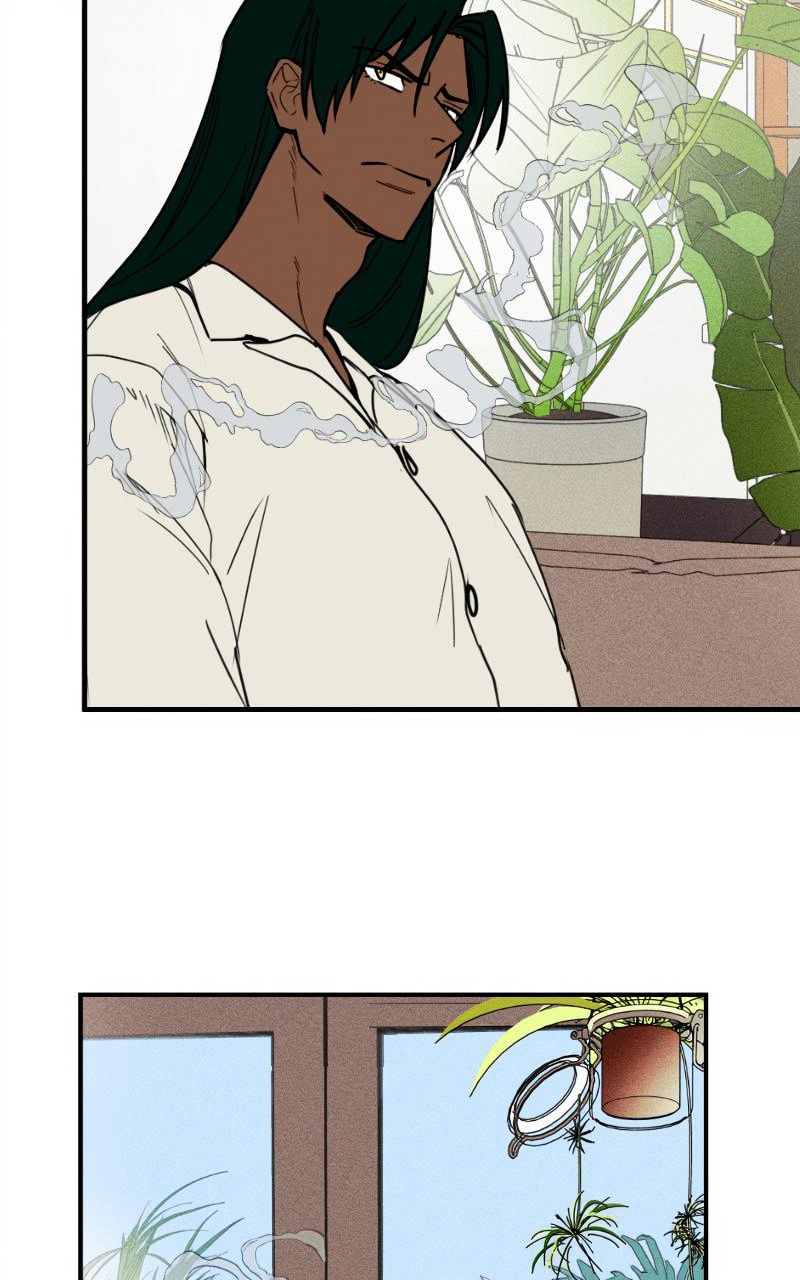 Bloom and Zoom page 3