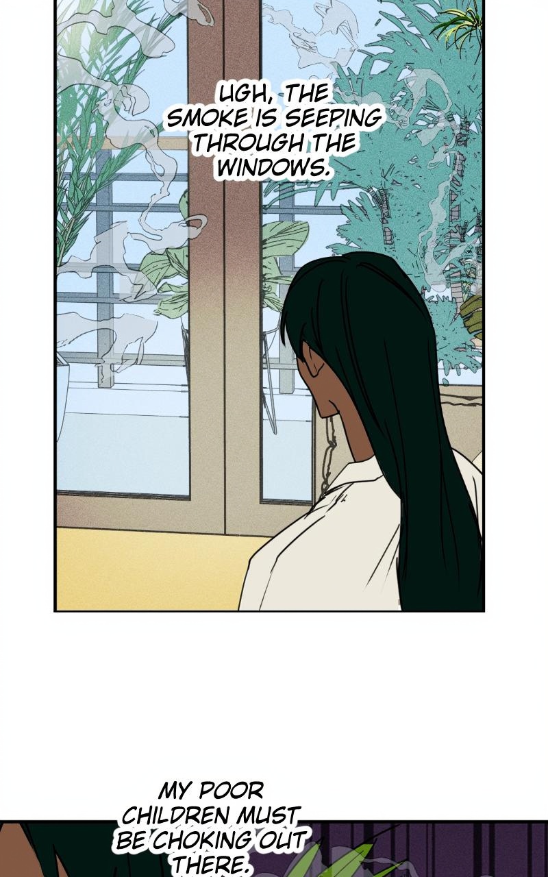 Bloom and Zoom page 4