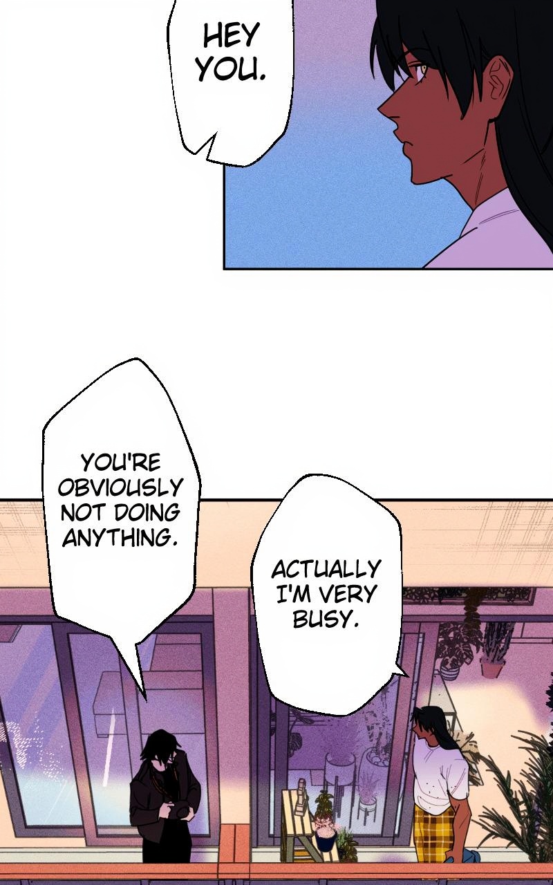 Bloom and Zoom page 3