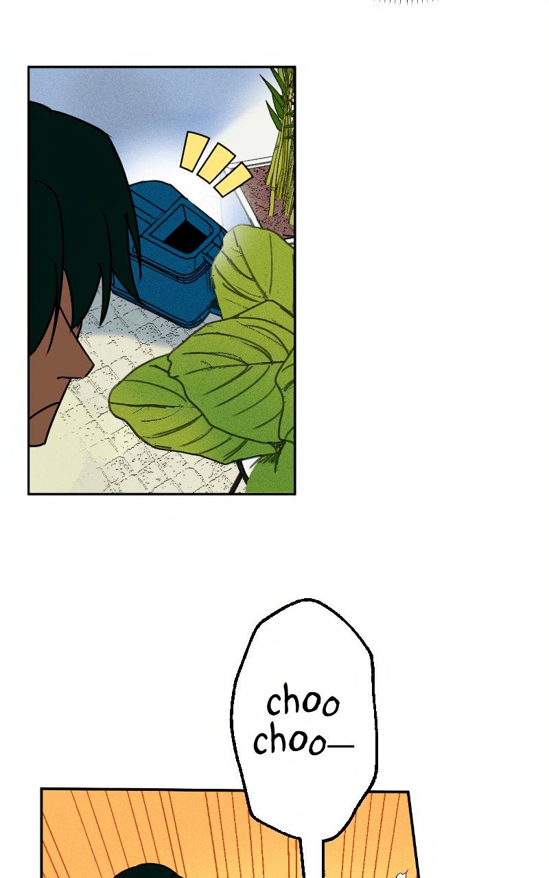 Bloom and Zoom page 3