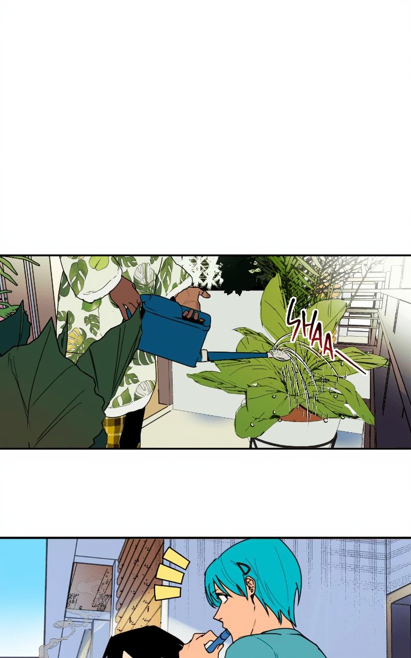 Bloom and Zoom page 1