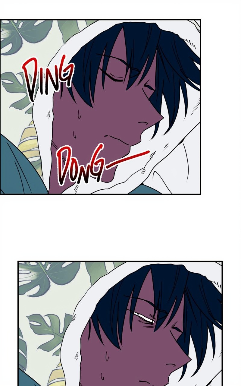 Bloom and Zoom page 2