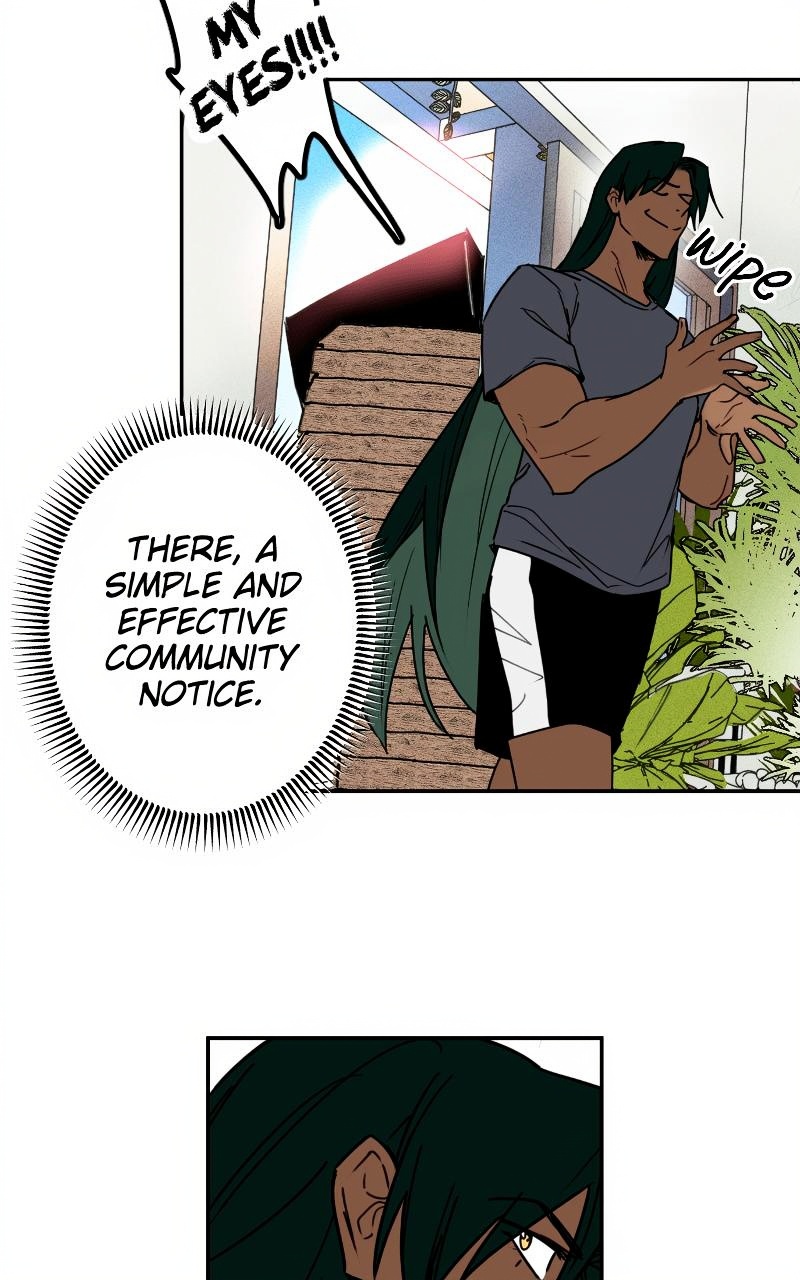 Bloom and Zoom page 2