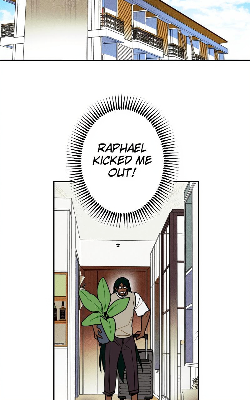 Bloom and Zoom page 2