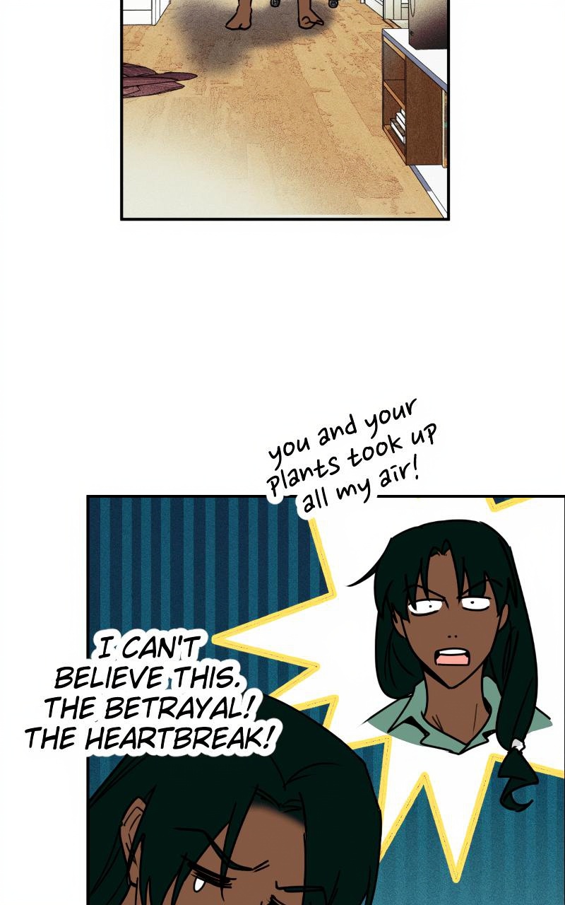 Bloom and Zoom page 3