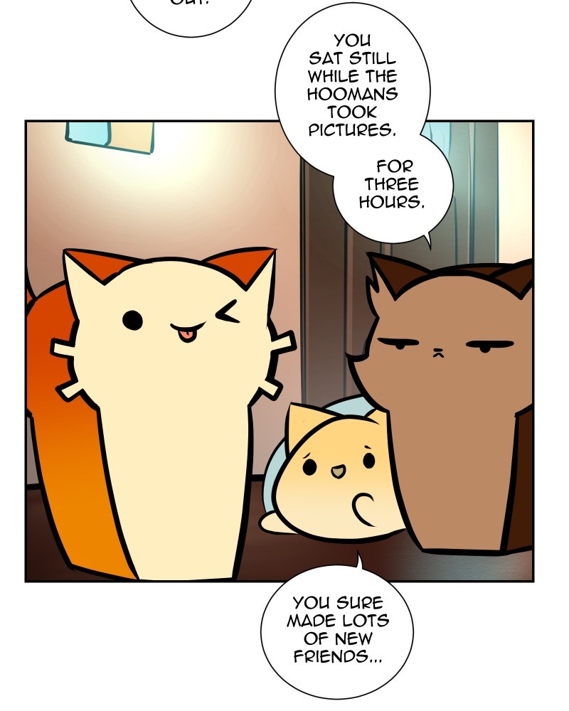Cat Loaf Adventures page 3