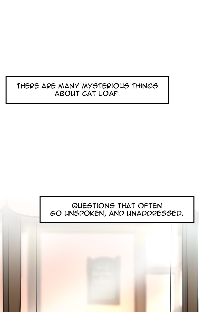 Cat Loaf Adventures page 1