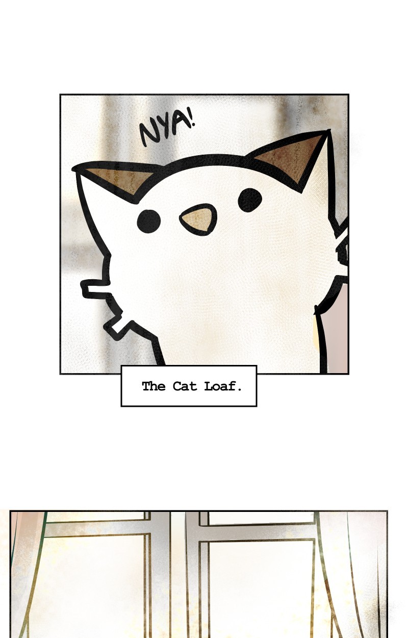 Cat Loaf Adventures page 3
