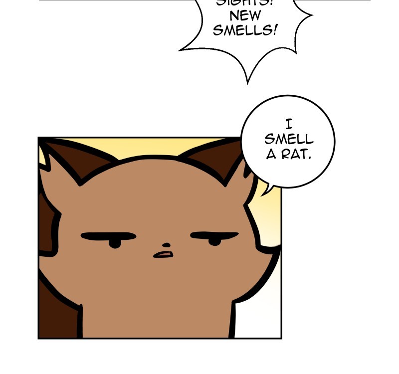 Cat Loaf Adventures page 2