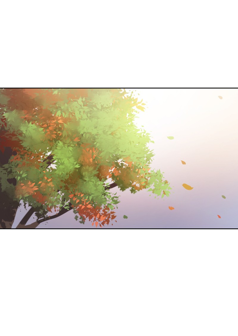 LUMINE page 1