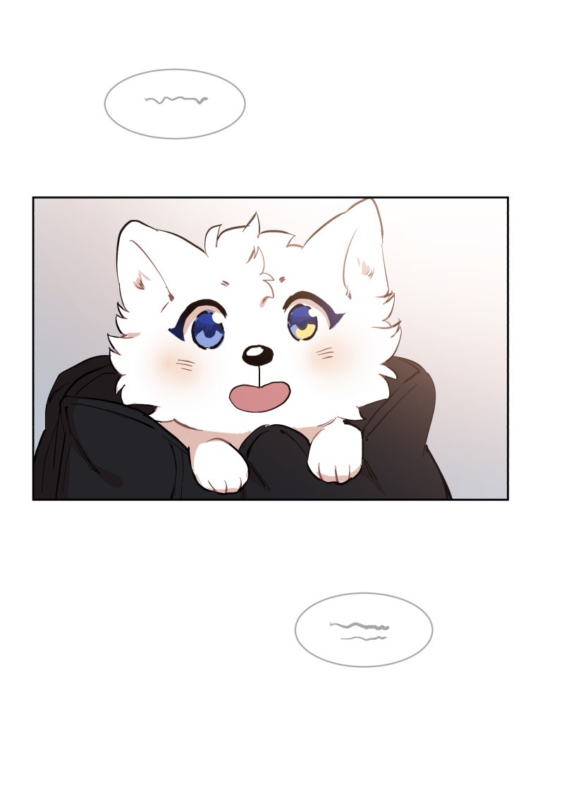 LUMINE page 2