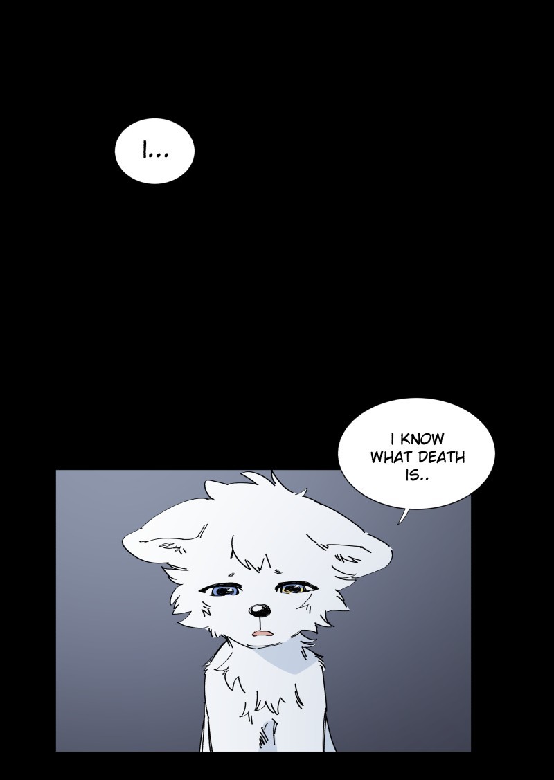 LUMINE page 1