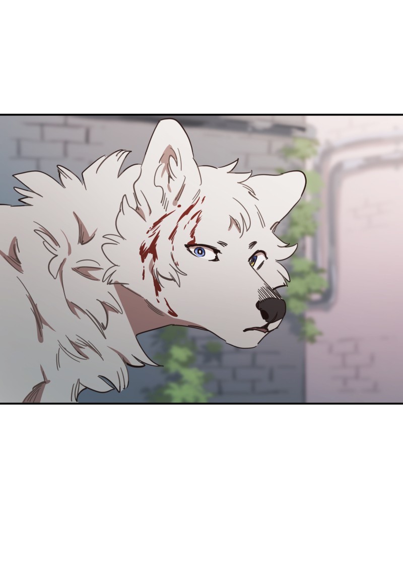LUMINE page 1