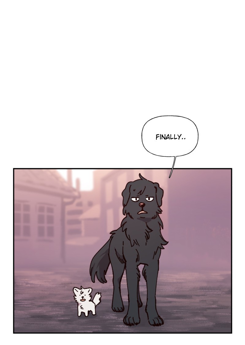 LUMINE page 1