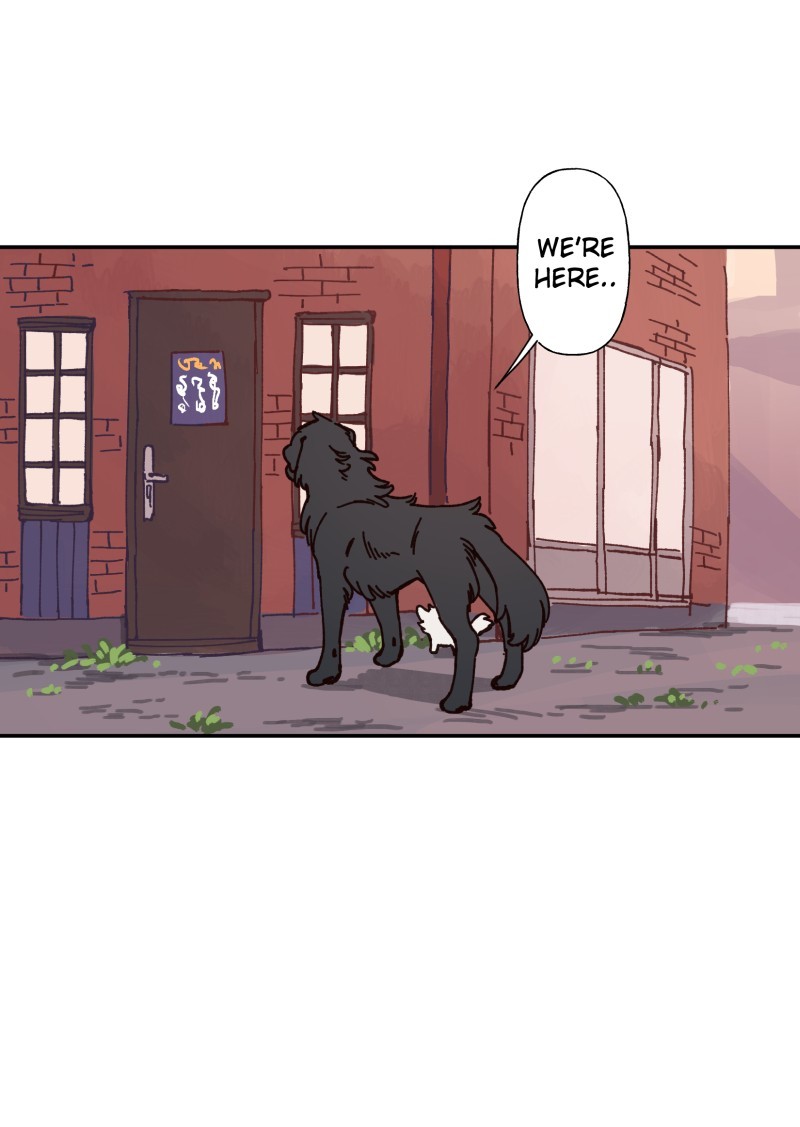LUMINE page 2