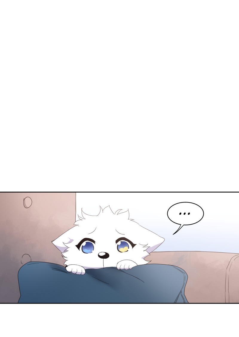 LUMINE page 1