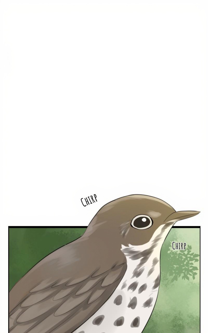 Rebirth page 1