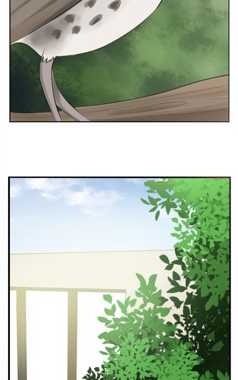Rebirth page 2