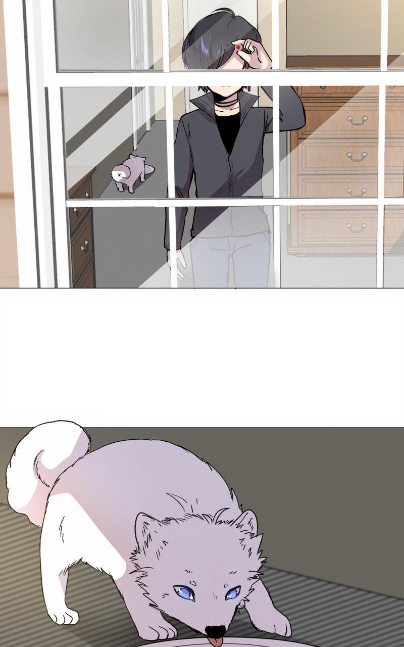 Rebirth page 2