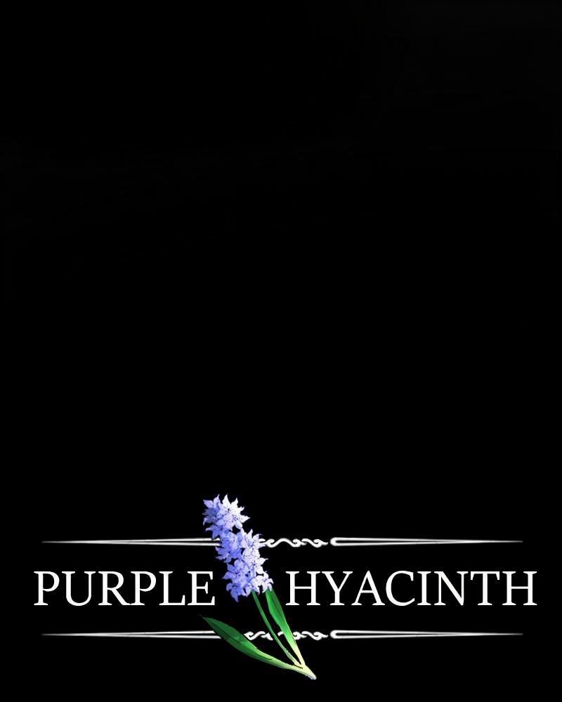 Purple Hyacinth page 2
