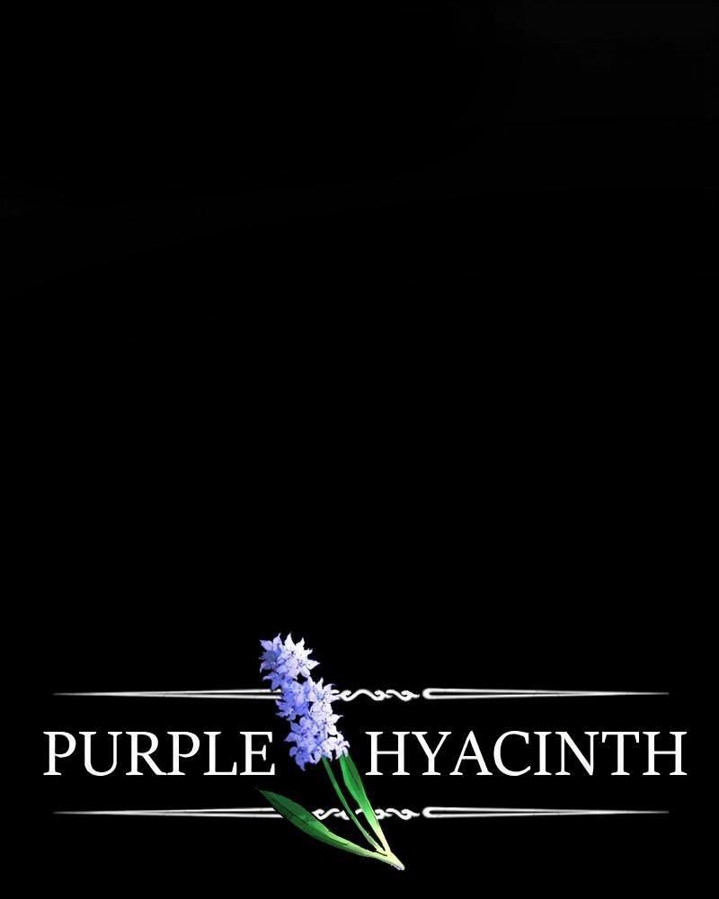 Purple Hyacinth page 1