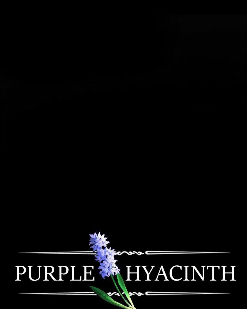 Purple Hyacinth page 1