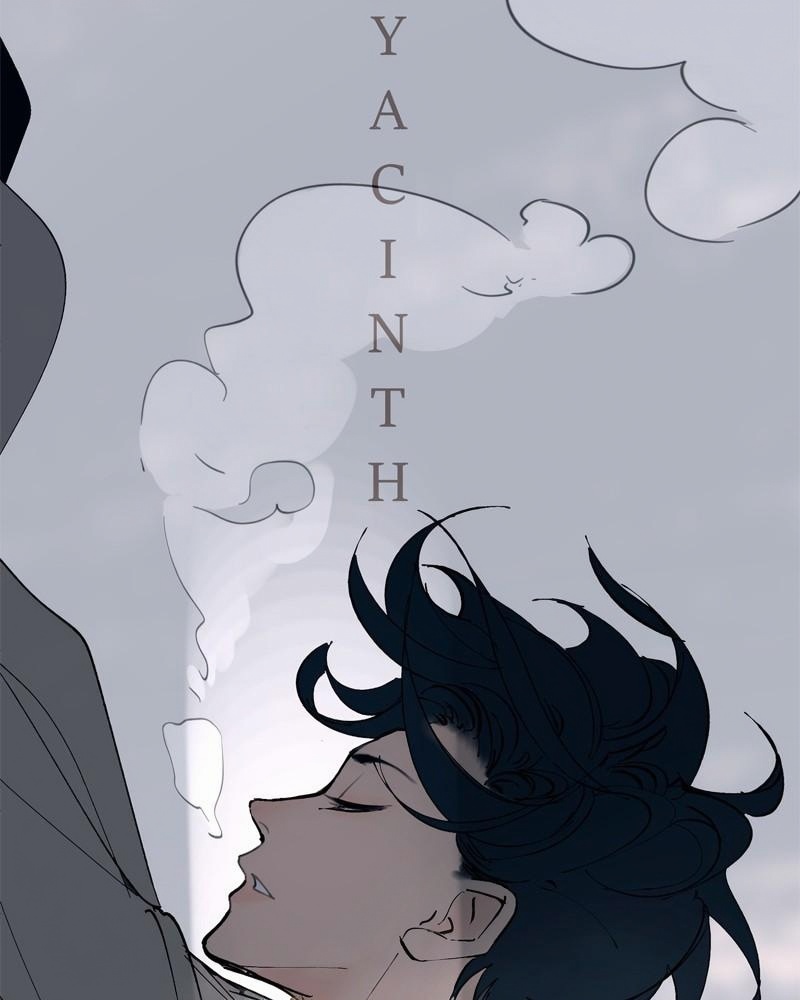Purple Hyacinth page 3