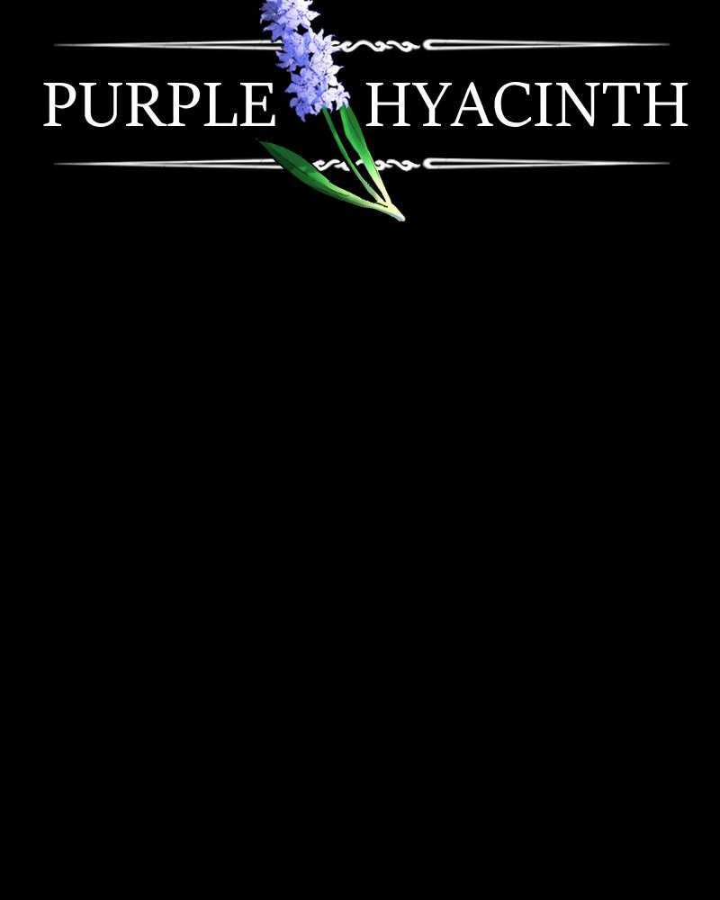 Purple Hyacinth page 2