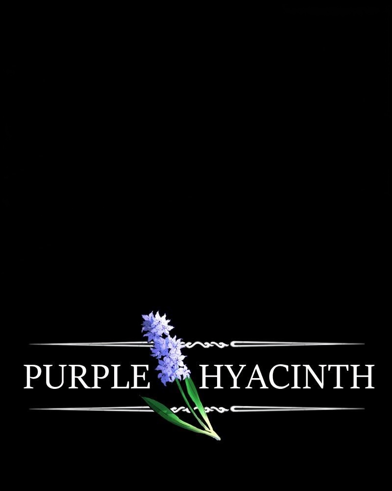 Purple Hyacinth page 2