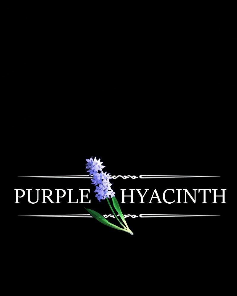 Purple Hyacinth page 3