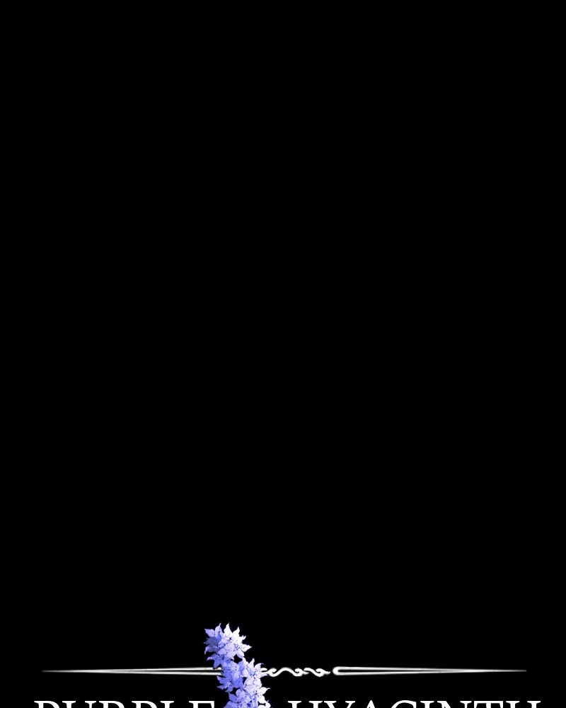 Purple Hyacinth page 1