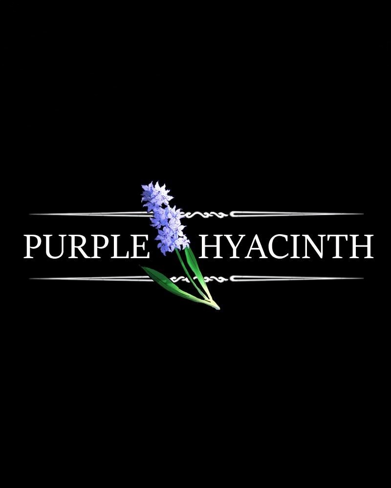 Purple Hyacinth page 2