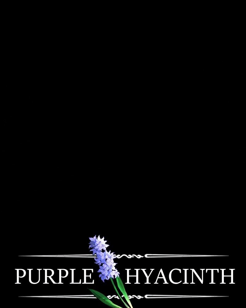 Purple Hyacinth page 2