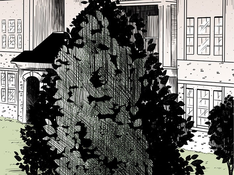Stagtown page 3