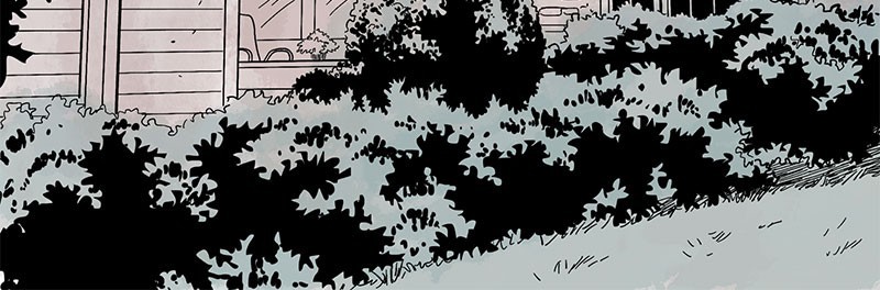 Stagtown page 2